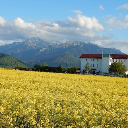 Pensiunea Cetatea Craiului Rîşnov Dış mekan fotoğraf