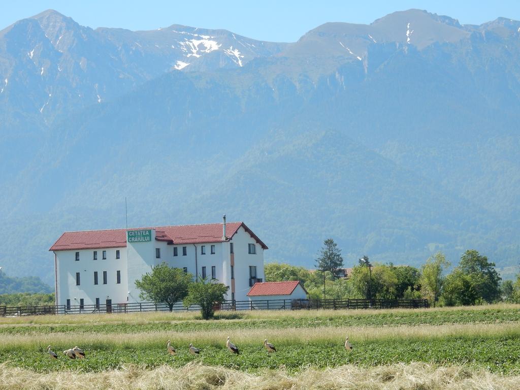 Pensiunea Cetatea Craiului Rîşnov Dış mekan fotoğraf