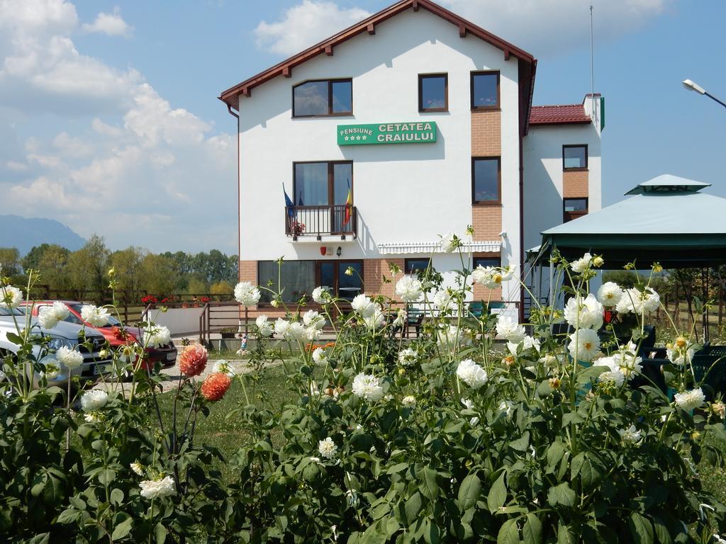 Pensiunea Cetatea Craiului Rîşnov Dış mekan fotoğraf