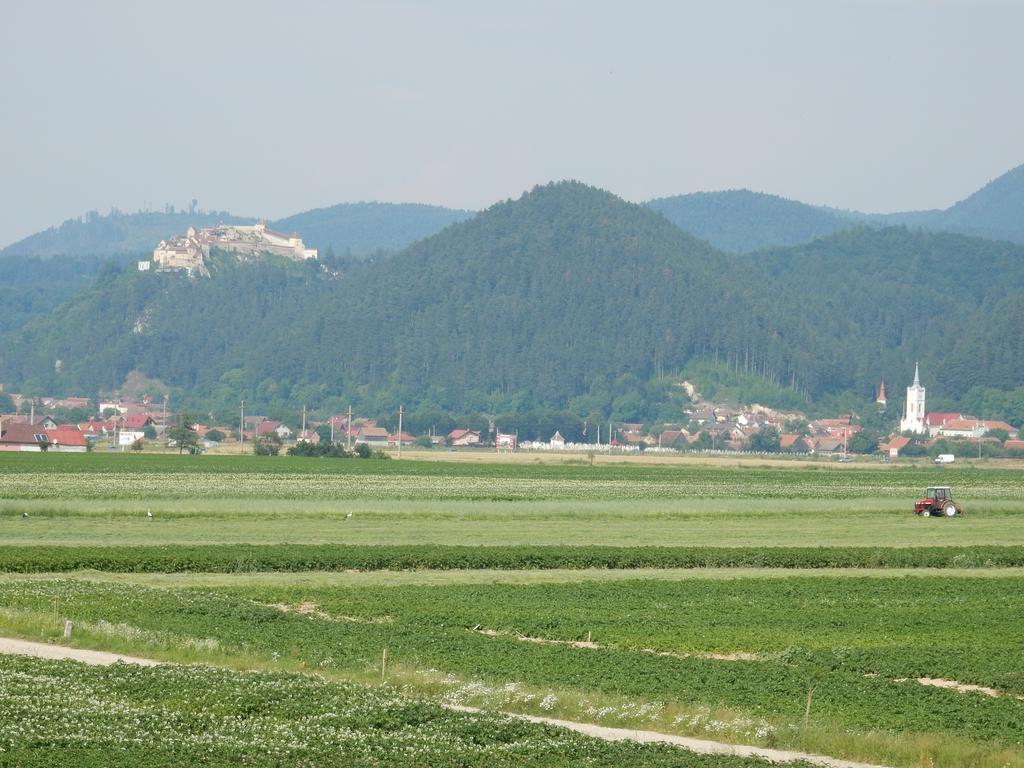 Pensiunea Cetatea Craiului Rîşnov Dış mekan fotoğraf