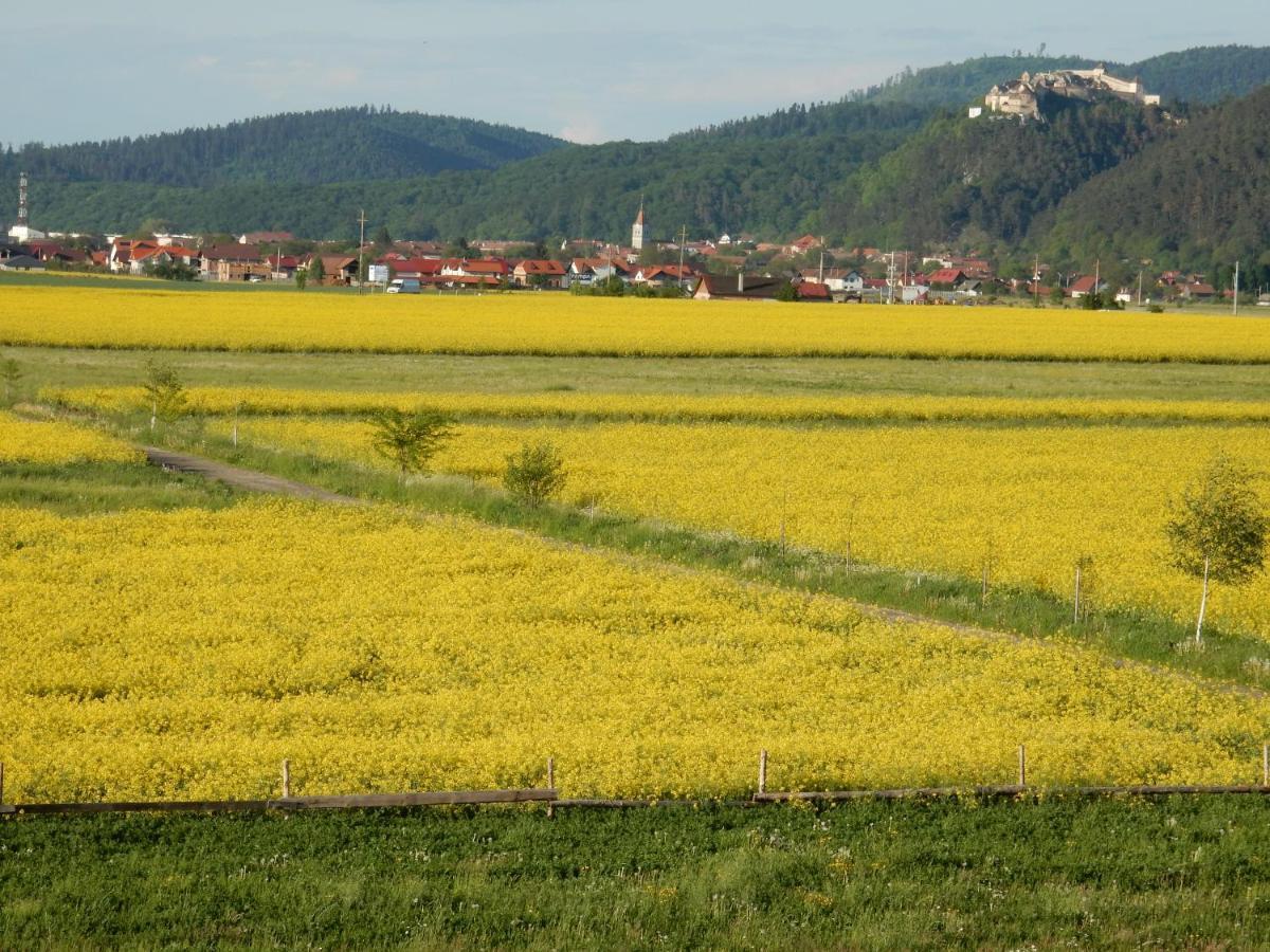 Pensiunea Cetatea Craiului Rîşnov Dış mekan fotoğraf